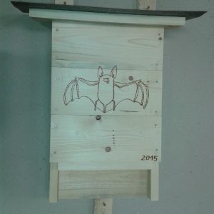 Búdka pre netopiere